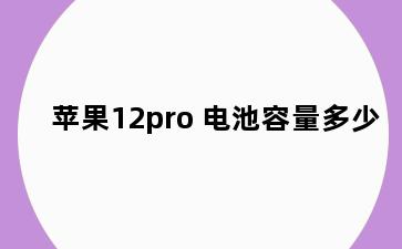 苹果12pro 电池容量多少